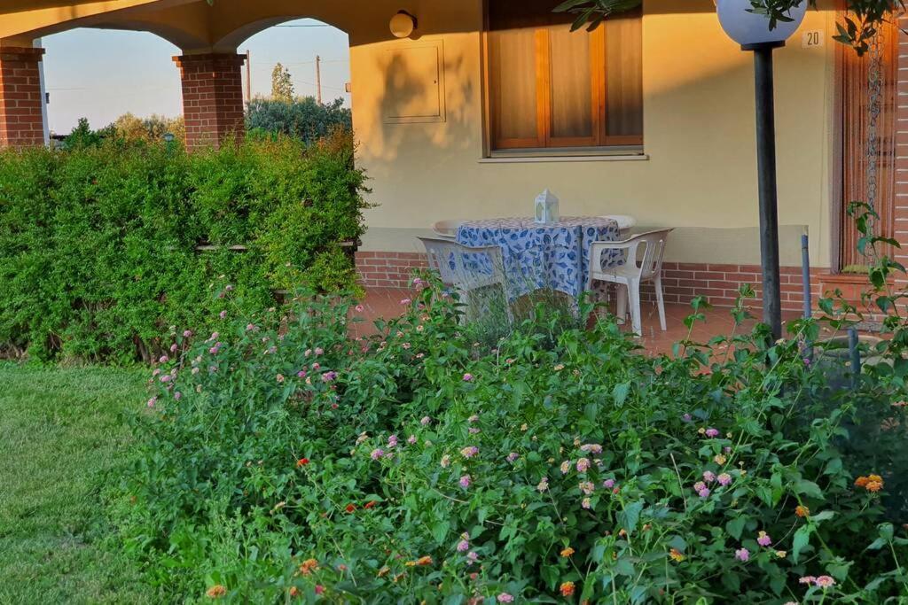 Villetta Giardino Degli Ulivi Ortona Exteriér fotografie