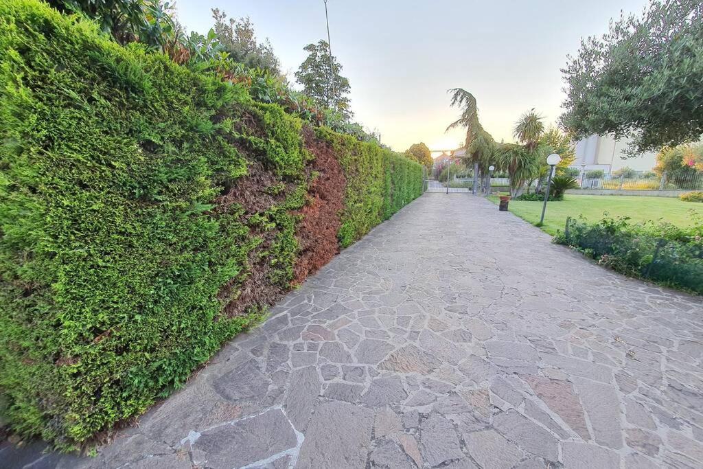 Villetta Giardino Degli Ulivi Ortona Exteriér fotografie