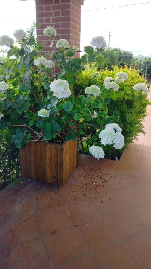 Villetta Giardino Degli Ulivi Ortona Exteriér fotografie